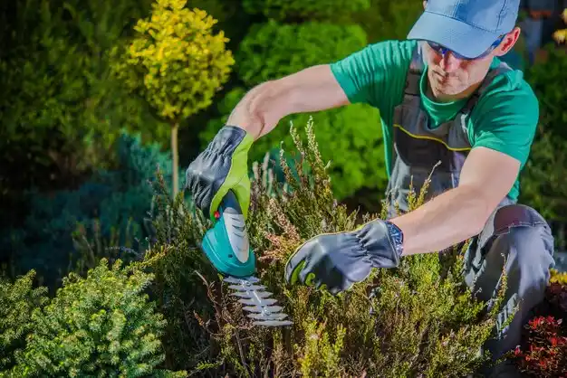 landscaping services Stanford
